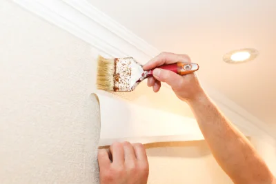Pose de papier peint à Blausasc — revêtements muraux et toiles de verre